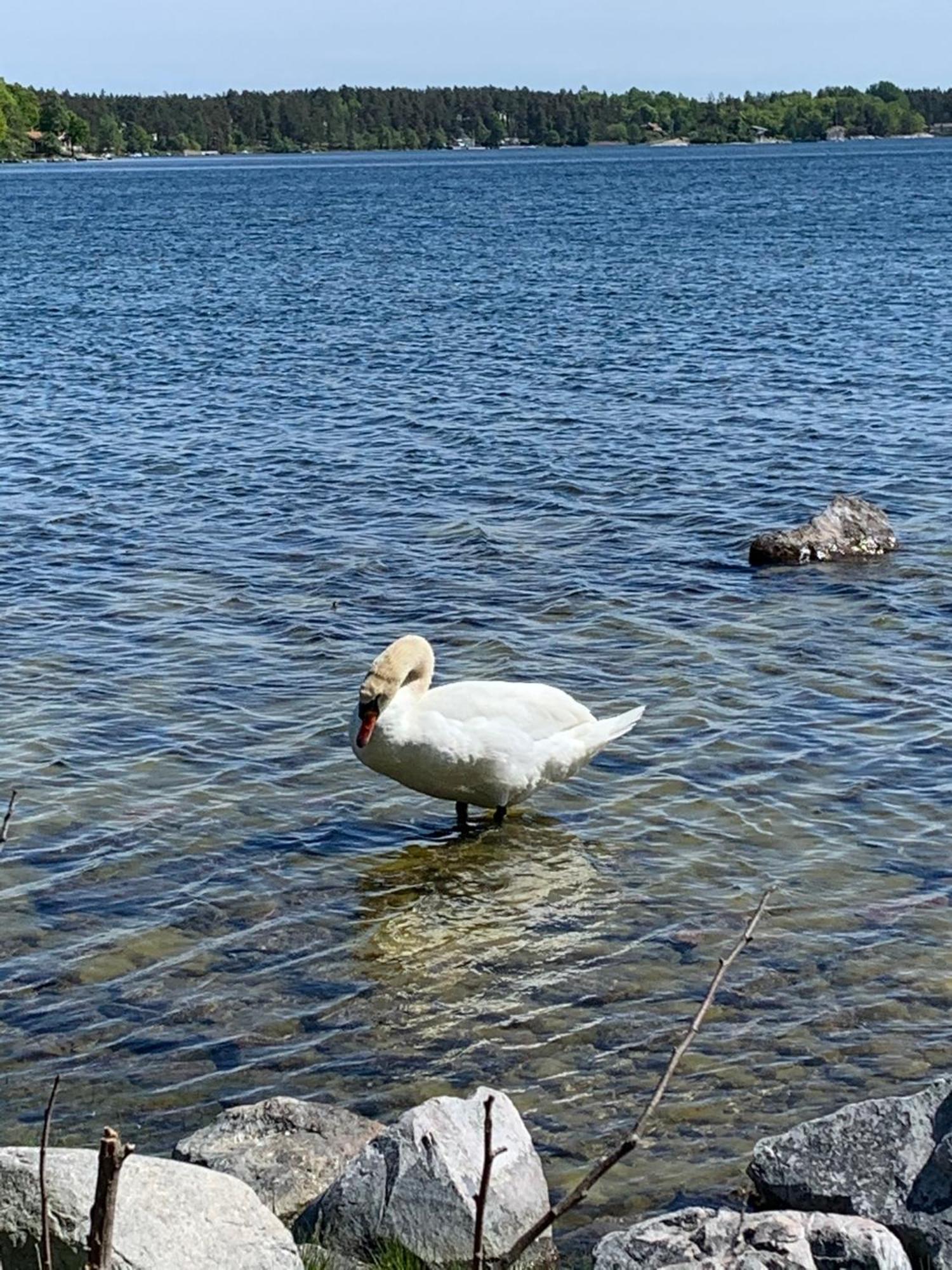Karlshamn 1 Sankt Anna