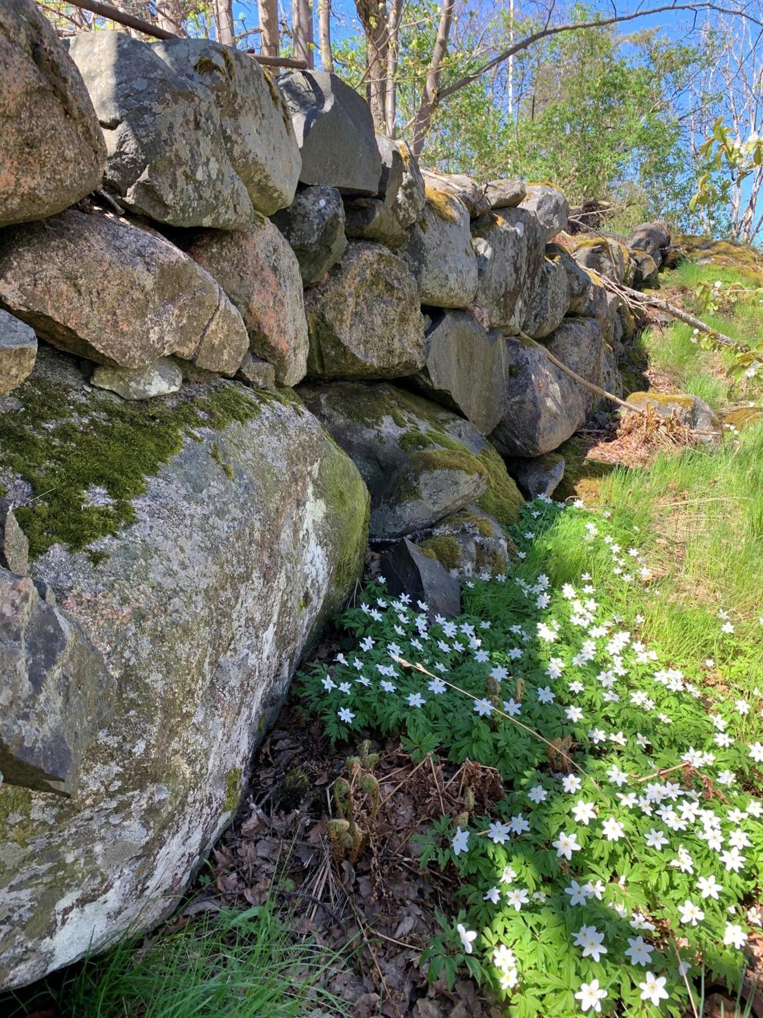 Karlshamn 1 Sankt Anna Holiday home *